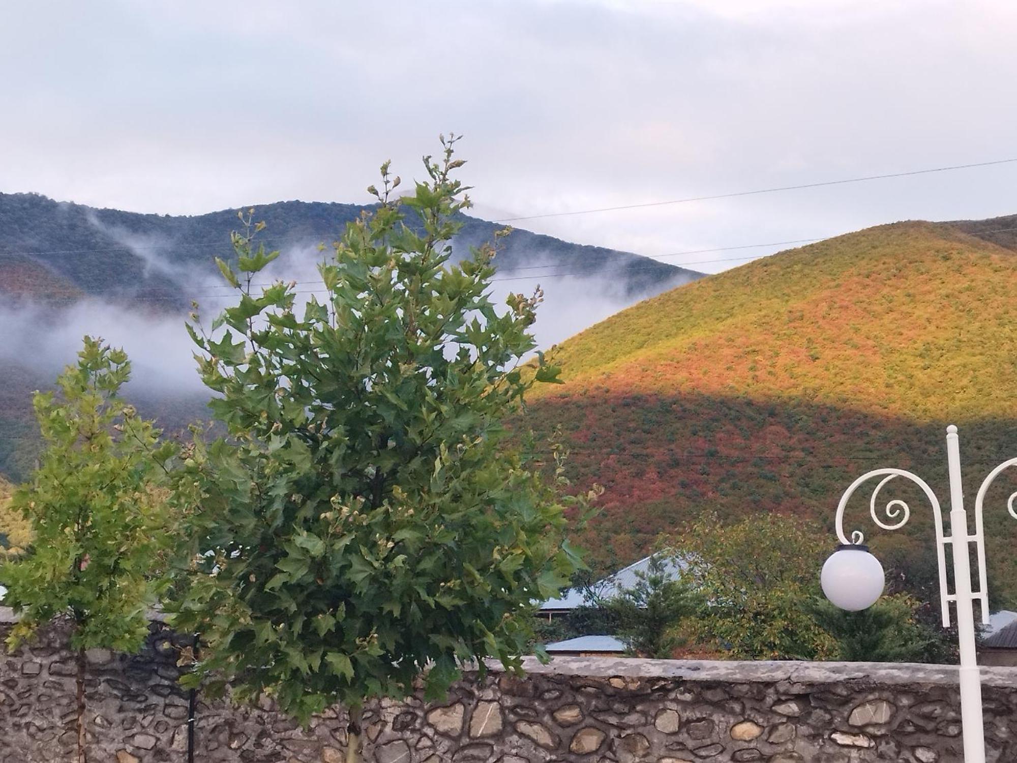 Tulpan Hotel Şǝki Екстериор снимка